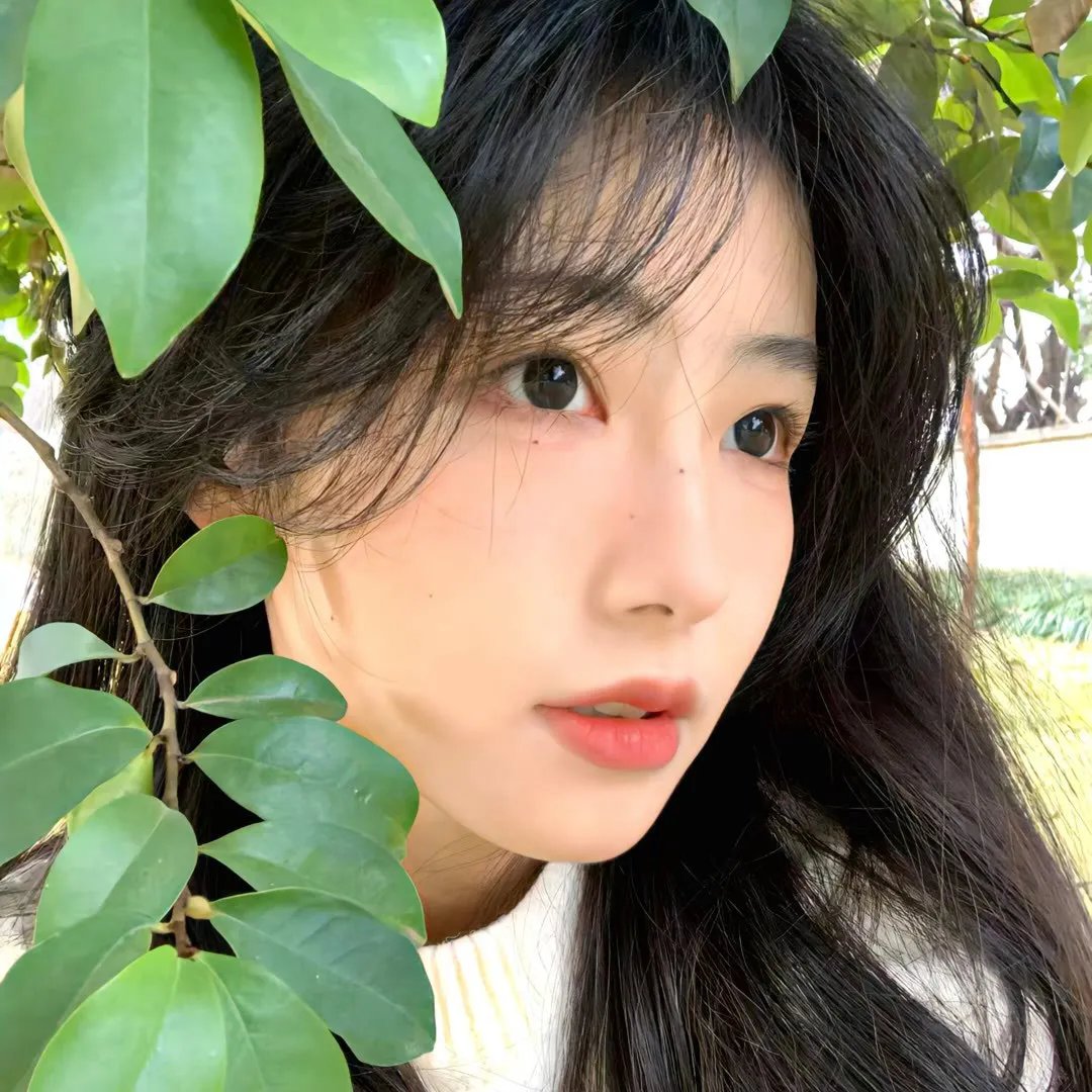 宝莱坞女王