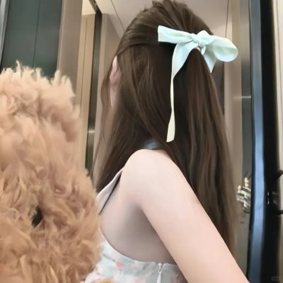 双重追击